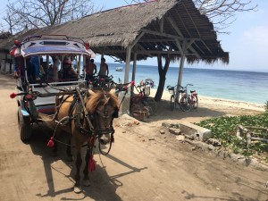 gili-air-pferdekutsche-familienferien-